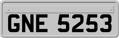 GNE5253