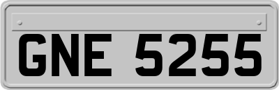 GNE5255