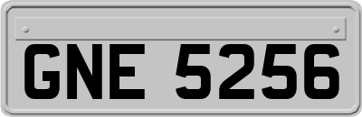 GNE5256