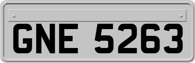 GNE5263