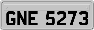 GNE5273