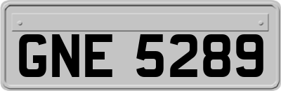 GNE5289