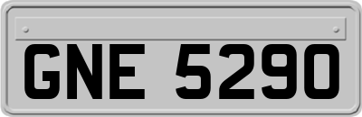 GNE5290