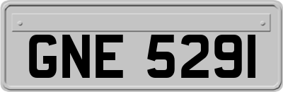GNE5291