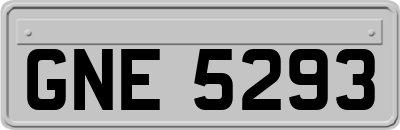 GNE5293