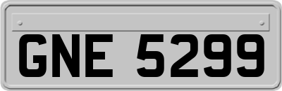 GNE5299