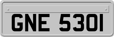 GNE5301