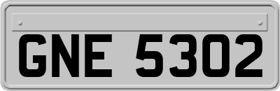 GNE5302