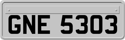 GNE5303