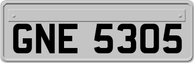 GNE5305
