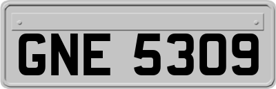 GNE5309