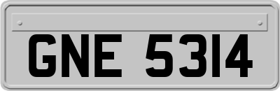GNE5314