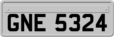 GNE5324