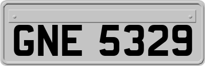 GNE5329