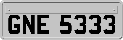 GNE5333