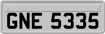 GNE5335