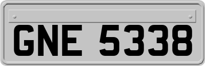 GNE5338