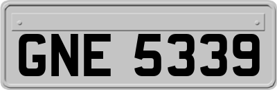 GNE5339