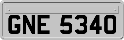 GNE5340