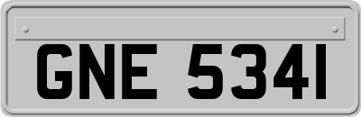 GNE5341