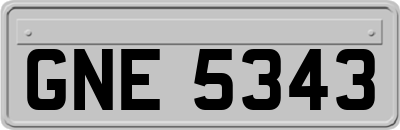 GNE5343