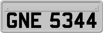 GNE5344