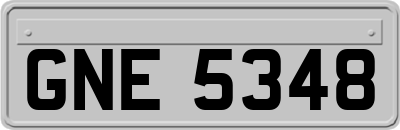 GNE5348