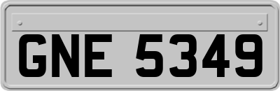 GNE5349