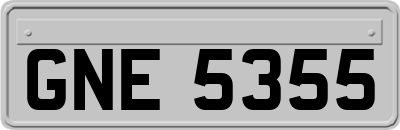 GNE5355
