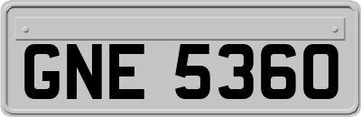 GNE5360