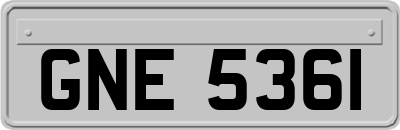 GNE5361