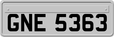 GNE5363