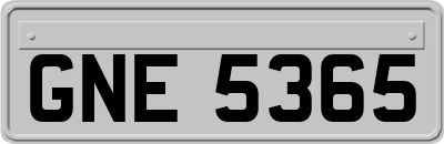 GNE5365