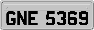 GNE5369