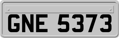 GNE5373