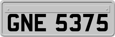 GNE5375