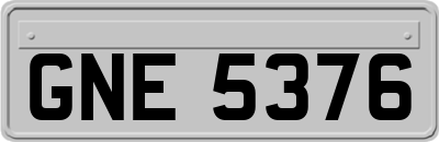 GNE5376