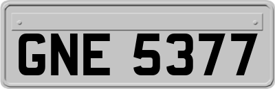 GNE5377