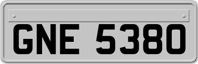 GNE5380