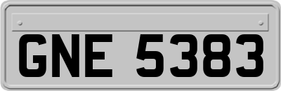 GNE5383