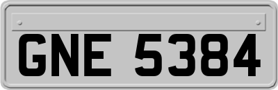 GNE5384