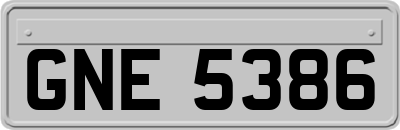 GNE5386