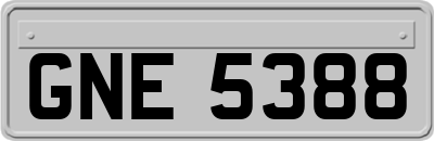 GNE5388