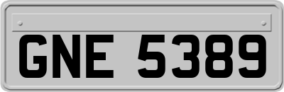 GNE5389
