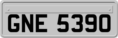 GNE5390