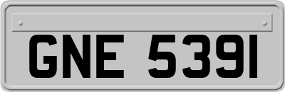 GNE5391