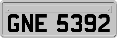 GNE5392