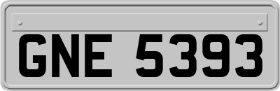 GNE5393