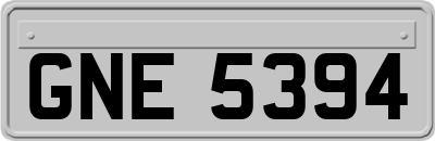 GNE5394