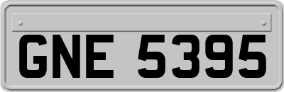 GNE5395